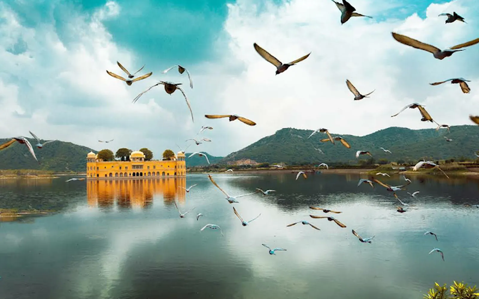 Jaipur wedding destination